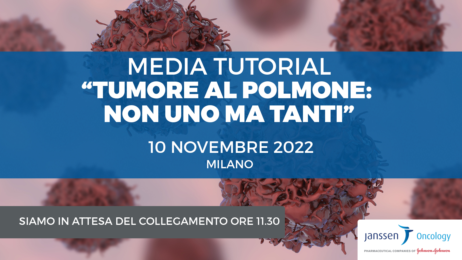 tappo 10 novembre ATTESA
